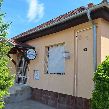 Koppany Vendeghaz Apartment Adand Exterior foto
